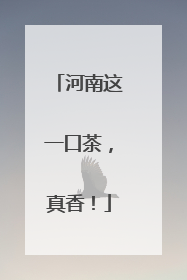 河南这一口茶，真香！